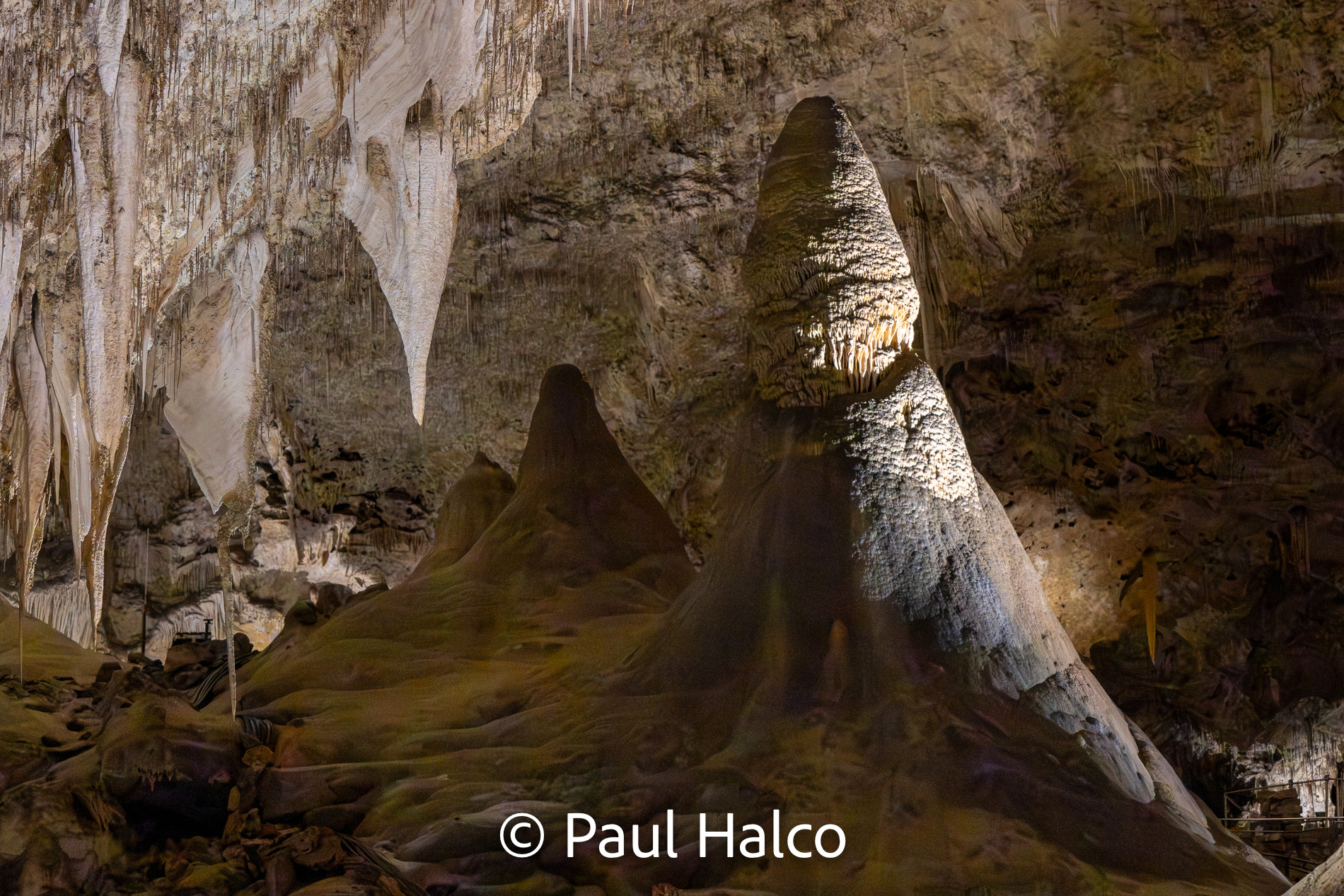 Paul Halco - Caralsbad Cavern NP-6